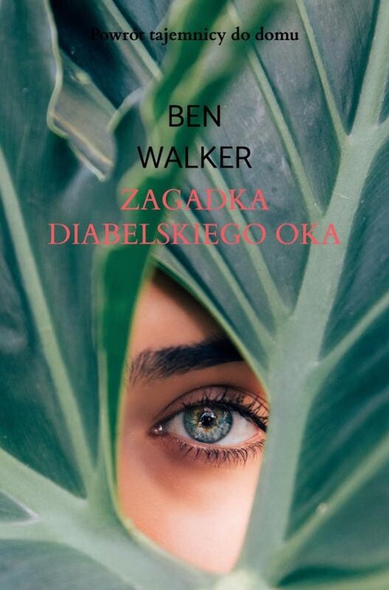 Zagadka diabelskiego oka - cover