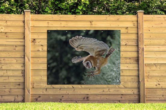 Attaque chouette 160x120 cm XXL / Groot taille!