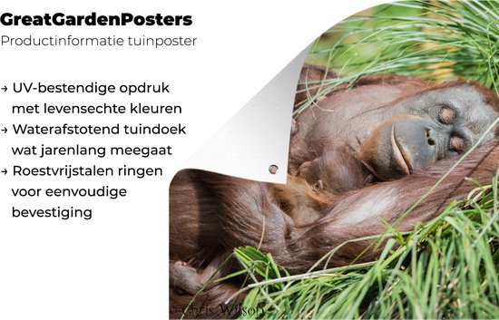 Tuinposter 180x120 cm - Tuindecoratie Aap - Jong - Gras - Slapen - Poster voor in de tuin - Buiten decoratie - Schutting tuinschilderij - Tuindoek muurdecoratie - Wanddecoratie balkondoek