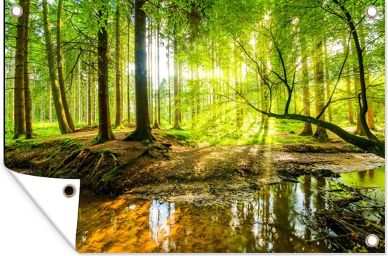 Affiche de jardin - Toile de jardin - Posters de jardin extérieur - Forêt - Paysage - Water - Arbres - Soleil - Vert - Nature - 120x80 cm - Jardin