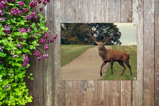 Décoration de Jardin Cerf - Vert - Herbe - 40x30 cm - Toile de jardin - Poster extérieur