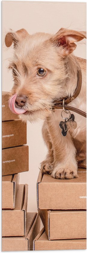 WallClassics - Vlag - Hondje op Stapel Dozen - 20x60 cm Foto op Polyester Vlag