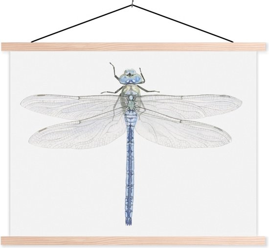 Posterhanger incl. Poster 120x90 cm - Schoolplaat - Een illustratie van een libelle op een witte achtergrond - Textielposter - Blanke latten