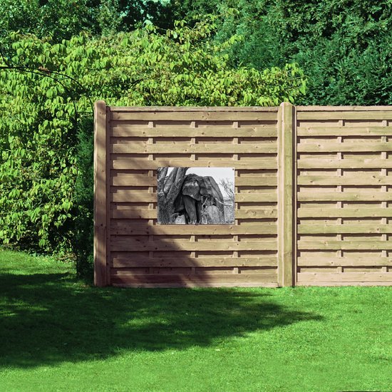 Tuinposter – Olifant Verstoppend achter Dunne Boom (Zwart-wit) - 80x60 cm Foto op Tuinposter (wanddecoratie voor buiten en binnen)