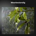 Afbeelding nummer  11