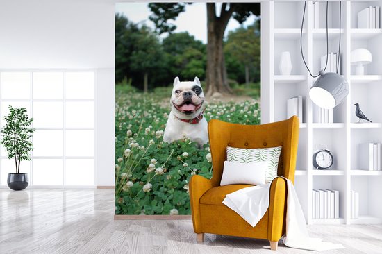 Behang - Fotobehang Dier - Klaver - Hond - Breedte 155 cm x hoogte 240 cm