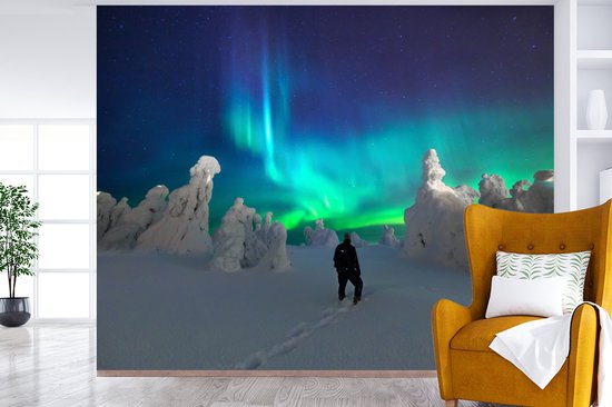 Papier peint photo peint vinyle - Admirateur solitaire des aurores boréales largeur 375 cm x hauteur 300 cm - Tirage photo sur papier peint (disponible en 7 tailles)