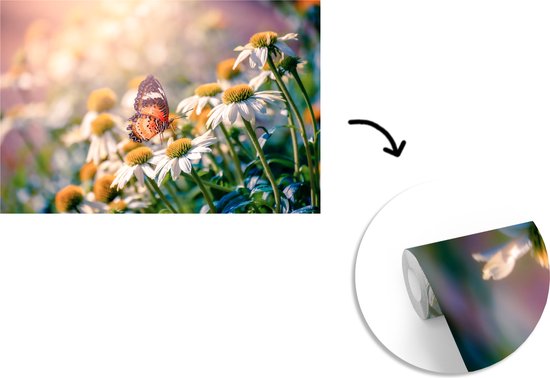 Papier peint Papier peint photo en vinyle - Papillon sur fleur de camomille largeur 450 cm x hauteur 300 cm - Tirage photo sur papier peint (disponible en 7 tailles)