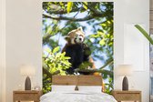 Behang - Fotobehang Panda - Planten - Boom - Breedte 145 cm x hoogte 220 cm