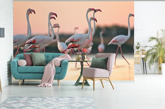 Flamants roses au coucher du soleil 330x220 cm
