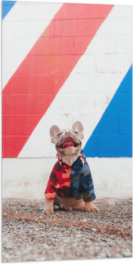 WallClassics - Vlag - Blije Hond met Trui en Kleurrijke Achtergrond - 50x100 cm Foto op Polyester Vlag