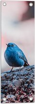 WallClassics - Tuinposter – Klein Blauw Vogeletje - 20x60 cm Foto op Tuinposter  (wanddecoratie voor buiten en binnen)