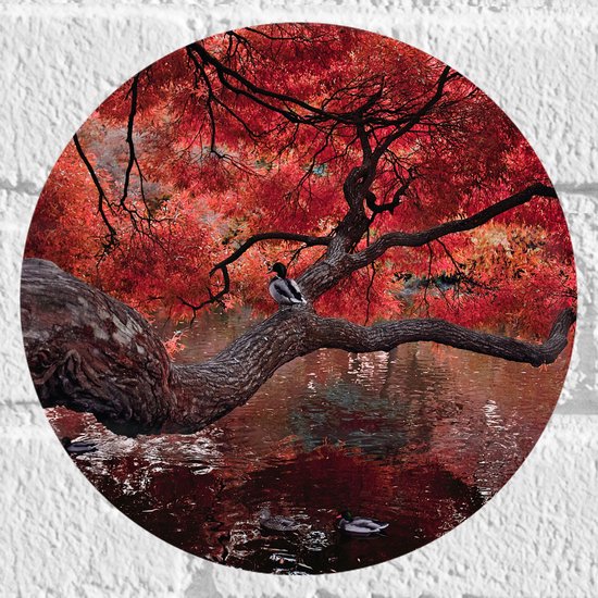 WallClassics - Muursticker Cirkel - Rode Herfstboom hangend over Water - 20x20 cm Foto op Muursticker