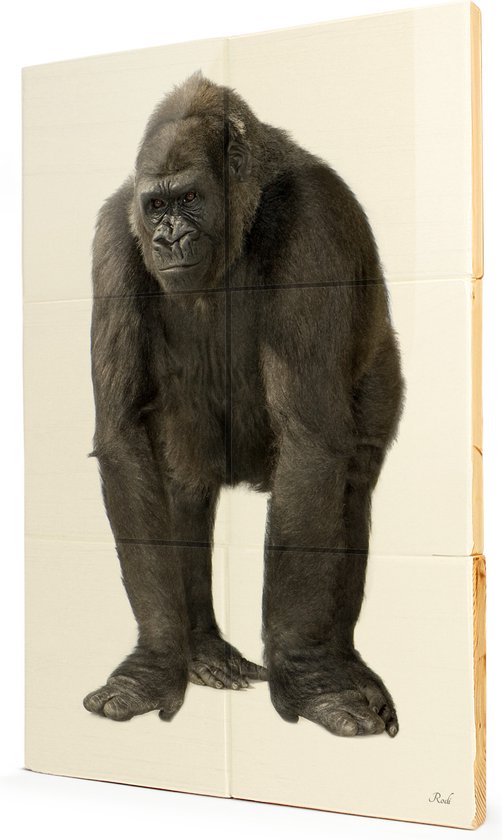 Gorilla walk - 2x3 Steigerhout Tegeltableau