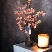Seta Fiori - Arbre fleuri artificiel - Peach - 75cm
