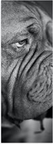 WallClassics - Poster (Mat) - Chien qui bave (Zwart- blanc) - 20x60 cm Photo sur papier poster avec un aspect mat