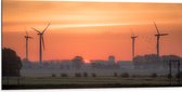 Dibond - Zonsondergang bij Windmolens in het Veld - 100x50 cm Foto op Aluminium (Met Ophangsysteem)