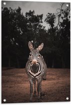 WallClassics - Tuinposter – Zebra in de Bossen - 60x80 cm Foto op Tuinposter (wanddecoratie voor buiten en binnen)