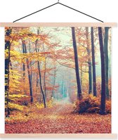Porte-affiche avec affiche - Affiche scolaire - Forêt - Automne - Feuilles - 120x120 cm - Lattes vierges
