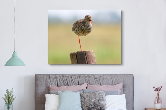 Redshank debout sur une jambe Toile 160x120 cm - Tirage photo sur toile (Décoration murale salon / chambre) XXL / Groot format!