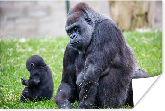 Poster Een grote Gorilla met zijn baby - 90x60 cm