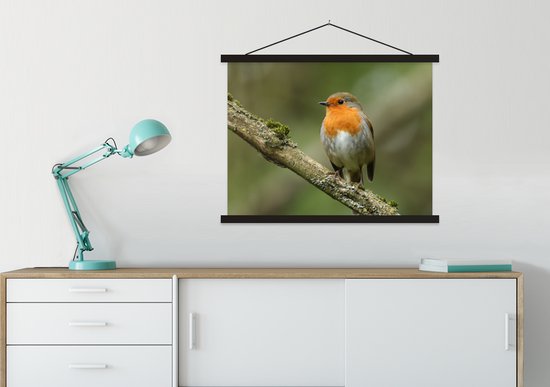 Posterhanger incl. Poster 60x45 cm - Schoolplaat - Vogel - Roodborstje - Tak - Planten - Textielposter - Zwarte latten
