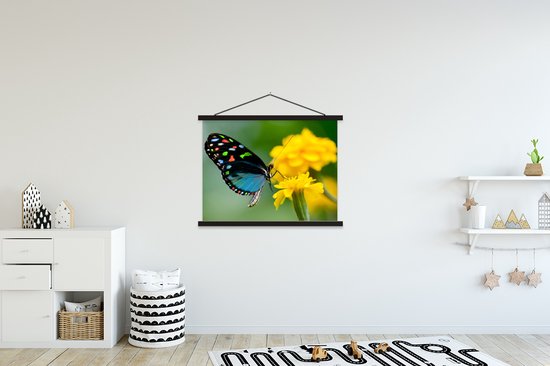 Porte-affiche avec affiche - Affiche scolaire - Papillon - Bloem - Animal - Insecte - 150x113 cm - Lattes noires