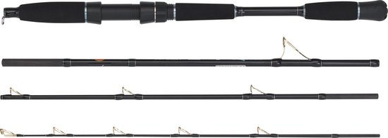 WFT Reishengel Sea Dart Special Fjord | 210cm | 18 lbs | 30-200 gram