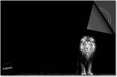 Protecteur induction 60x60 - Plaque de recouvrement tapis induction - Protecteur de plaque Dietrix - DELUXE - Animaux - Lion noir et blanc dans le coin
