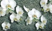 Fotobehang - Vlies Behang - Orchideeën op asfalt - 152,5 x 104 cm