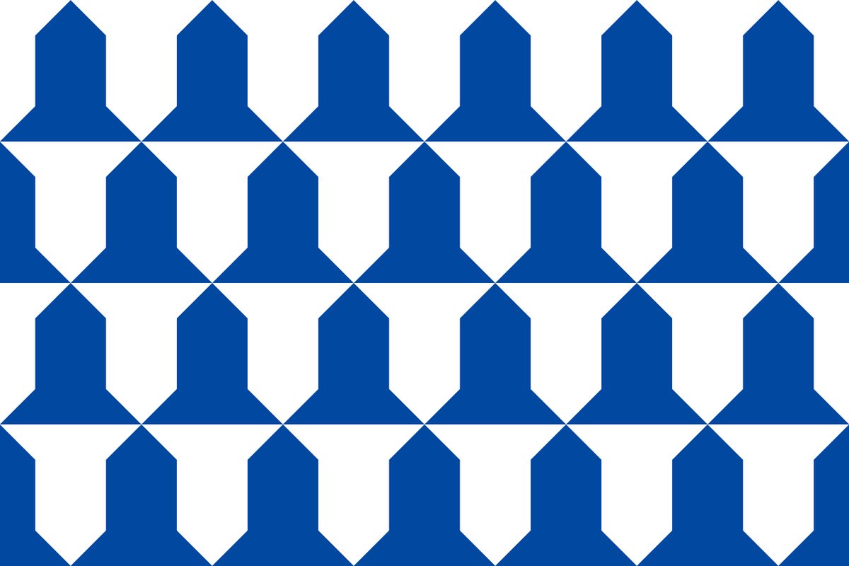 Vlag Awans 120x180cm