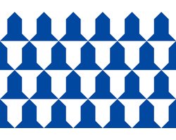 Vlag Awans 120x180cm