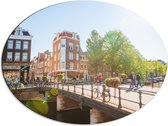 Dibond Ovaal - Bruggen in de Nederlandse Hoofdstad, Amsterdam - 80x60 cm Foto op Ovaal (Met Ophangsysteem)