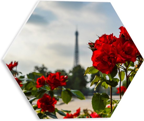 PVC Schuimplaat Hexagon - Rode Rozenstruik voor Eiffeltoren in Parijs, Frankrijk - 30x26.1 cm Foto op Hexagon (Met Ophangsysteem)