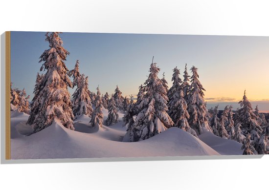 Hout - Dikke Laag Sneeuw in Open Bos met Bomen - 100x50 cm - 9 mm dik - Foto op Hout (Met Ophangsysteem)