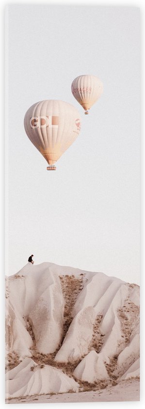 WallClassics - Acrylglas - Luchtballonnen boven Bergen - 20x60 cm Foto op Acrylglas (Met Ophangsysteem)