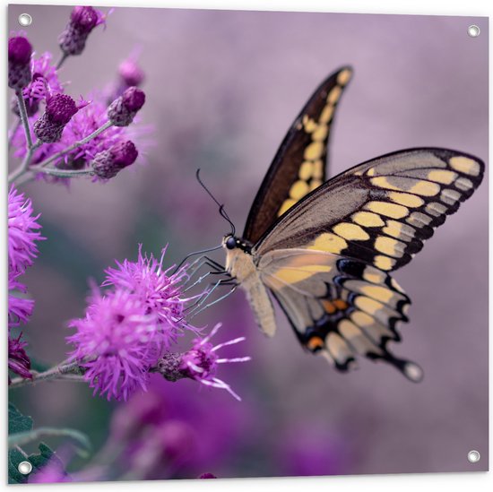 Tuinposter – Vlinder op de Paarse Bloemen - 80x80 cm Foto op Tuinposter (wanddecoratie voor buiten en binnen)