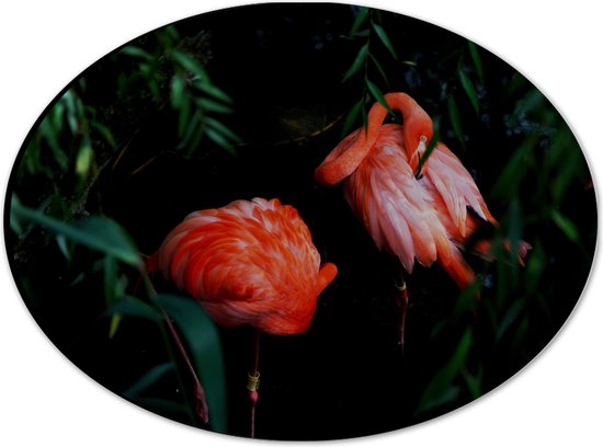 WallClassics - Dibond Ovaal - Felroze Flamingo's tussen Donkergroene Bladeren - 28x21 cm Foto op Ovaal (Met Ophangsysteem)