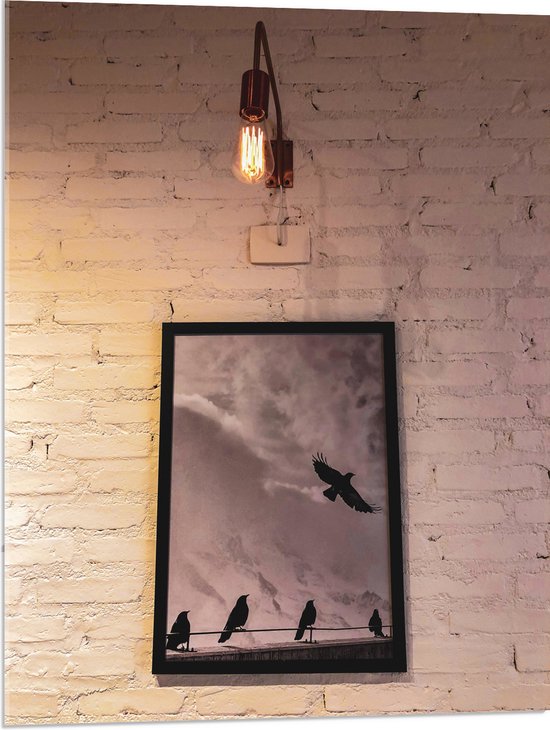 Acrylglas - Schilderij van Vogels aan de Witte Muur - 60x80 cm Foto op Acrylglas (Wanddecoratie op Acrylaat)