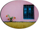 Dibond Ovaal - Vaasje met Bloemen op Muur van Roze Woning - 28x21 cm Foto op Ovaal (Met Ophangsysteem)