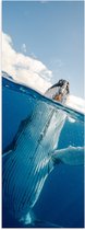 Poster Glanzend – Zwaaiende Walvis aan het Wateroppervlak - 20x60 cm Foto op Posterpapier met Glanzende Afwerking