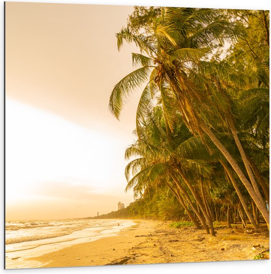 Dibond - Kokosnoot Palmbomen aan het Strand tijdens Felle Zonsopkomst - 100x100 cm Foto op Aluminium (Met Ophangsysteem)