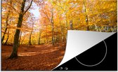KitchenYeah® Inductie beschermer 77x51 cm - Beukenbos met herfstachtige kleuren - Kookplaataccessoires - Afdekplaat voor kookplaat - Inductiebeschermer - Inductiemat - Inductieplaat mat