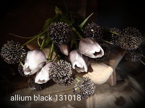 Allium black sier tak real touch