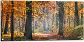 Tuinposter – Bos met Oranje Blaadjes in de Herfst - 100x50 cm Foto op Tuinposter (wanddecoratie voor buiten en binnen)