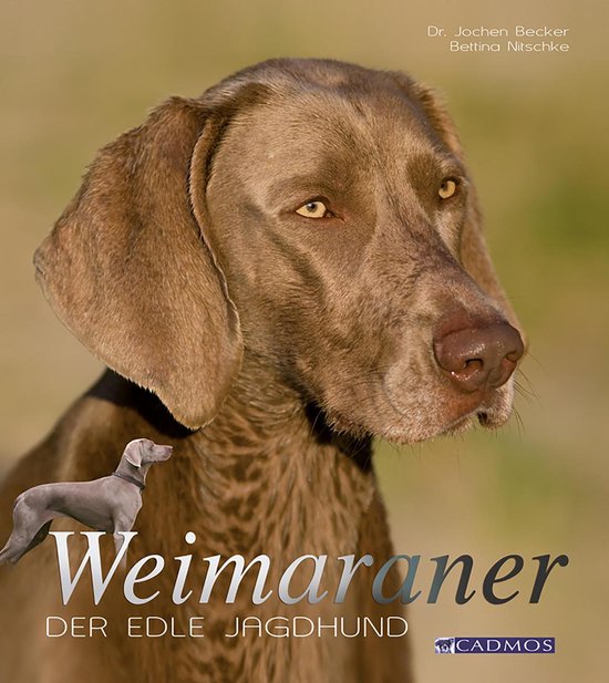 Hunderassen - Weimaraner - cover