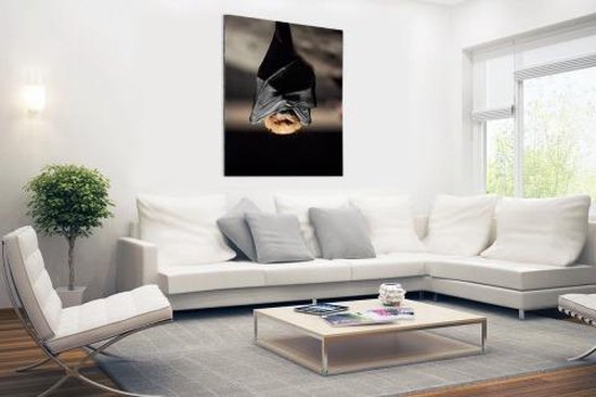 Hanging bat Aluminium 20x30 cm - petit - Tirage photo sur aluminium (décoration murale en métal)