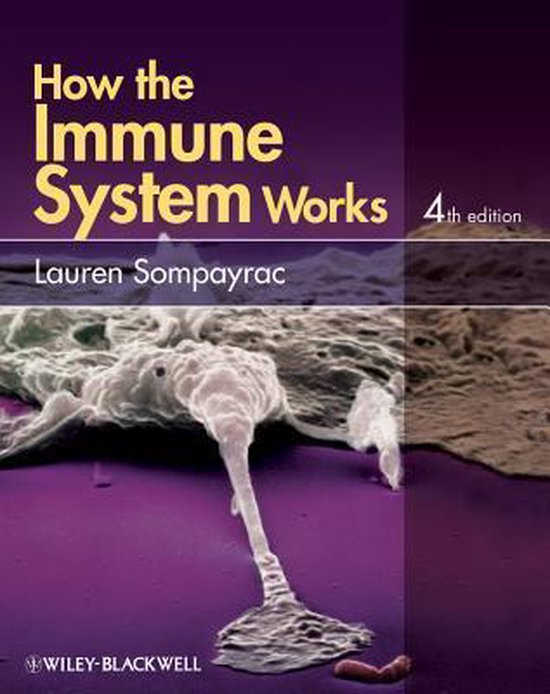 How The Immune System Works - cover
