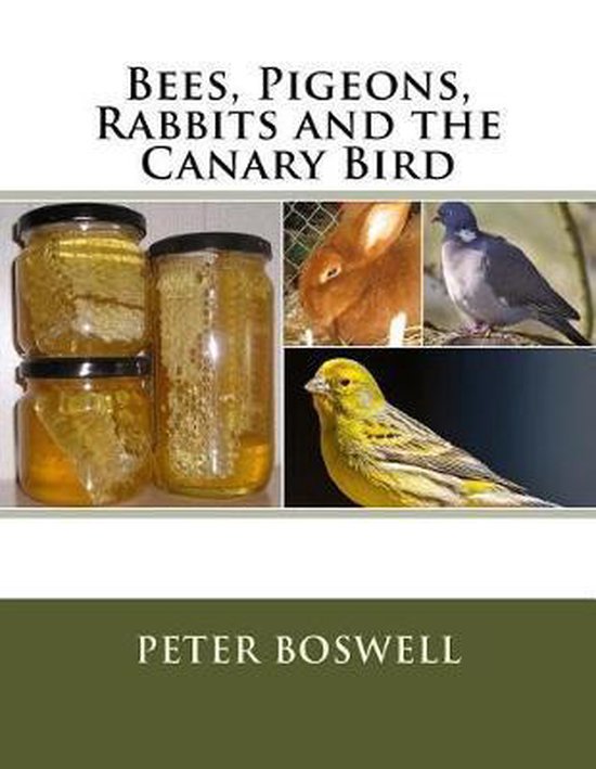 Bees, Pigeons, Rabbits and the Canary Bird - cover