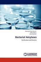 Bacterial Amylases